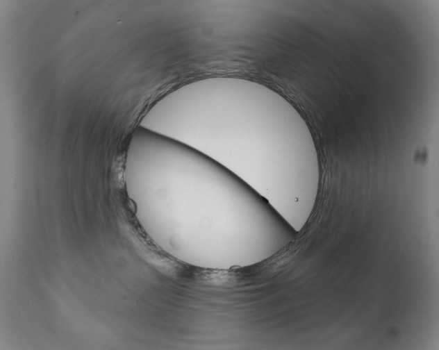 X0000111820383200907231030