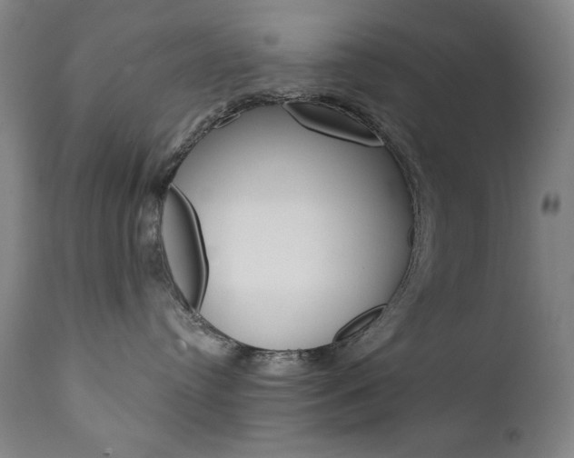 X0000111820384200907231030