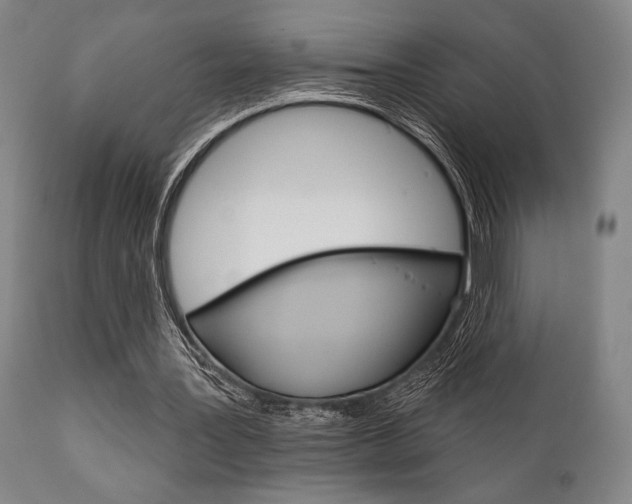 X0000111820387200907231030
