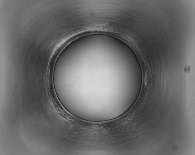 X0000111820388200907231030