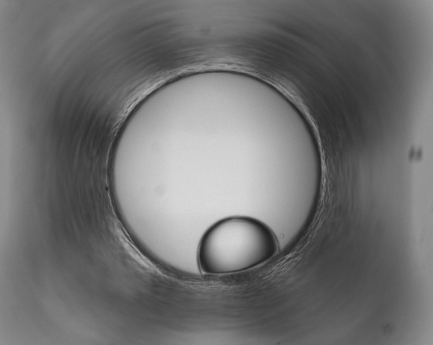 X0000111820389200907231030