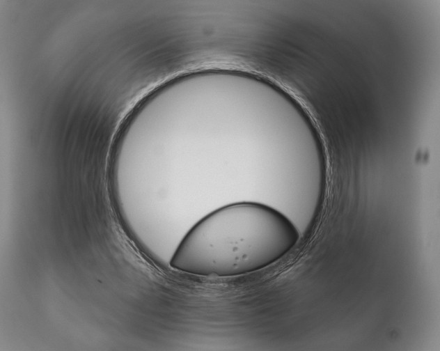 X0000111820391200907231030