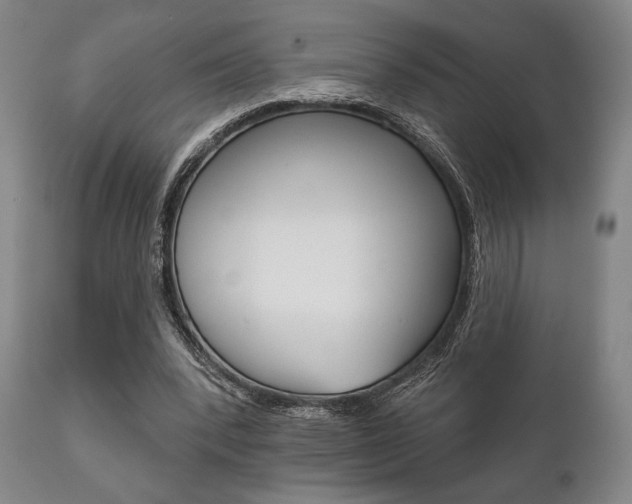 X0000111820392200907231030