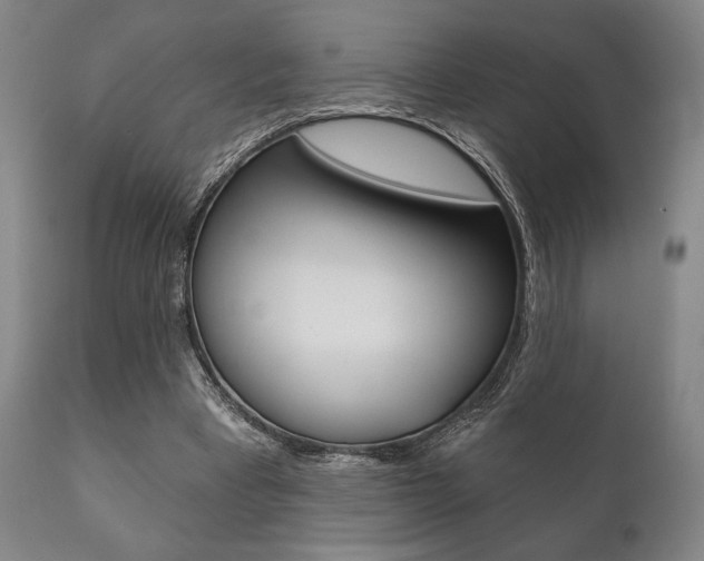 X0000111820393200907231030
