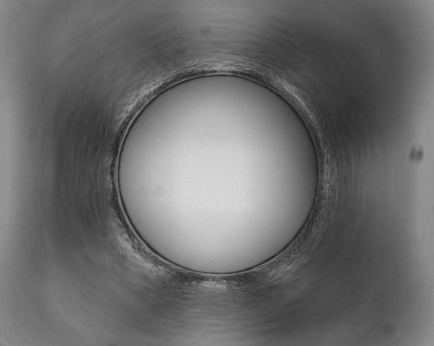 X0000111820394200907231030