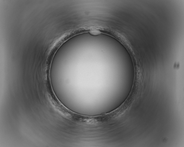 X0000111820395200907231030