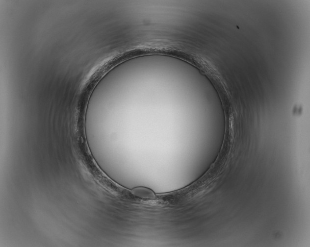 X0000111820396200907231030