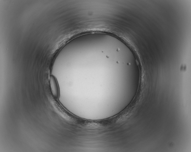 X0000111820397200907231030