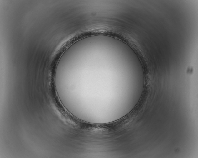 X0000111820400200907231030