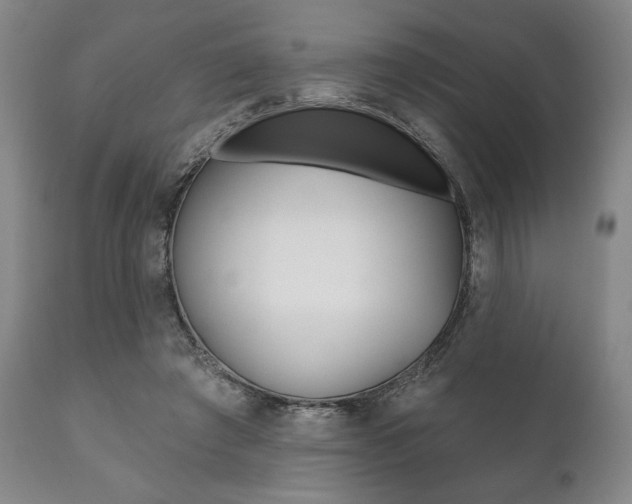 X0000111820401200907231030