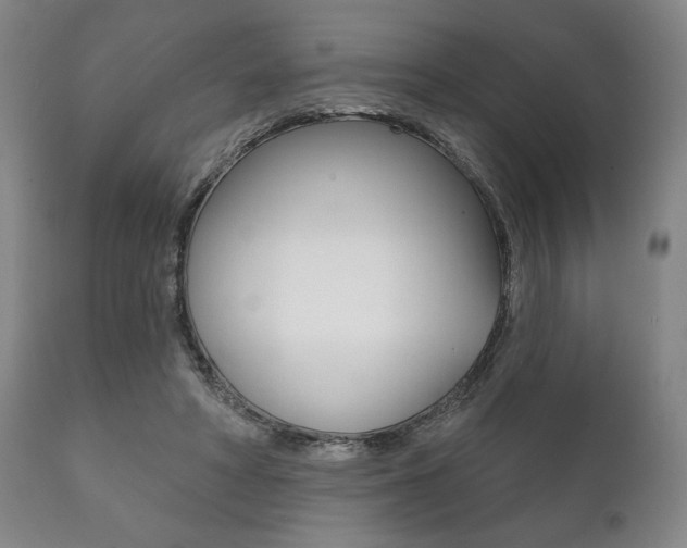 X0000111820402200907231030