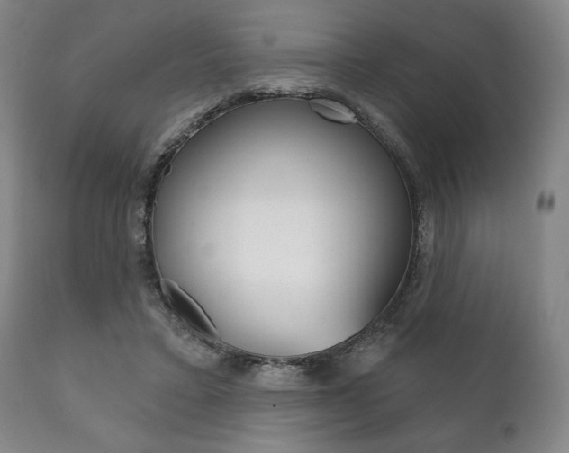 X0000111820403200907231030