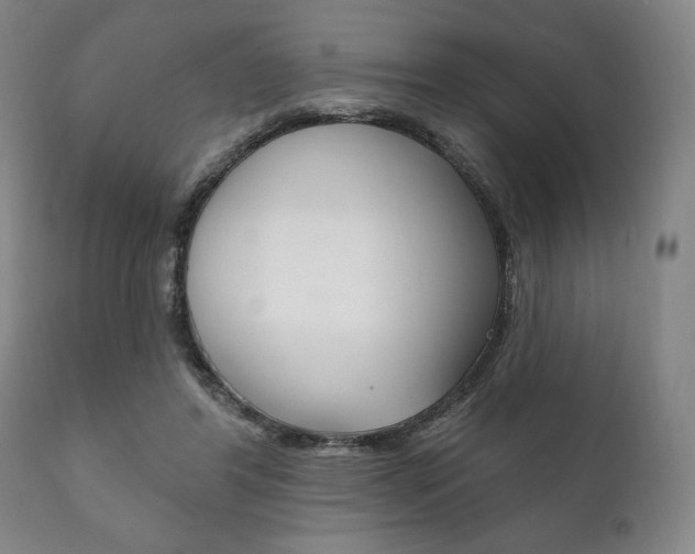 X0000111820404200907231030