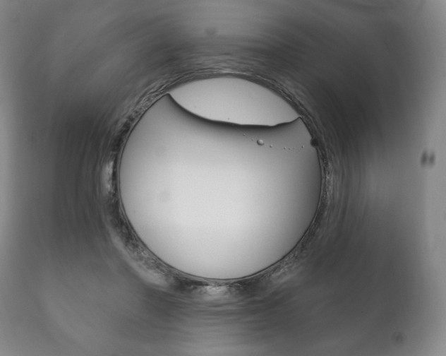 X0000111820406200907231029