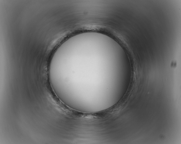 X0000111820407200907231029