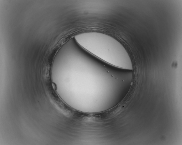 X0000111820408200907231029