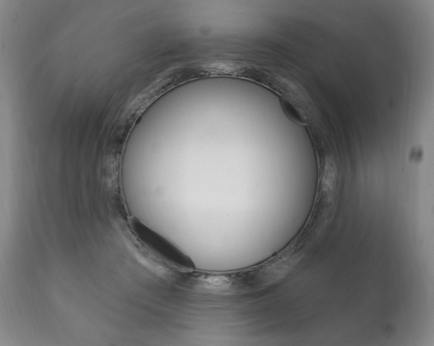 X0000111820409200907231029
