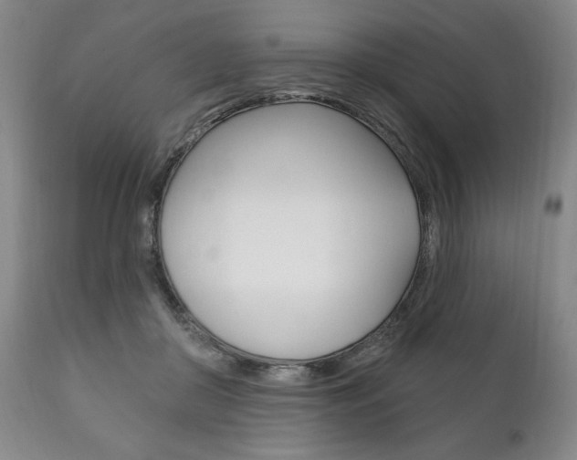 X0000111820410200907231029