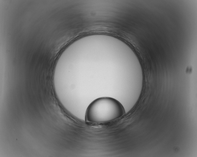 X0000111820411200907231029
