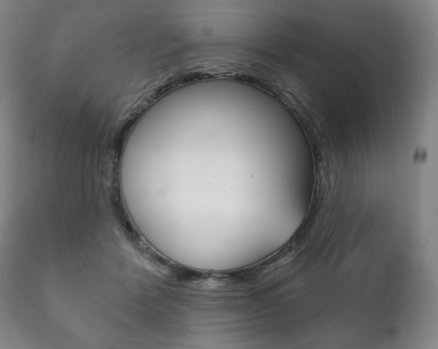 X0000111820412200907231029