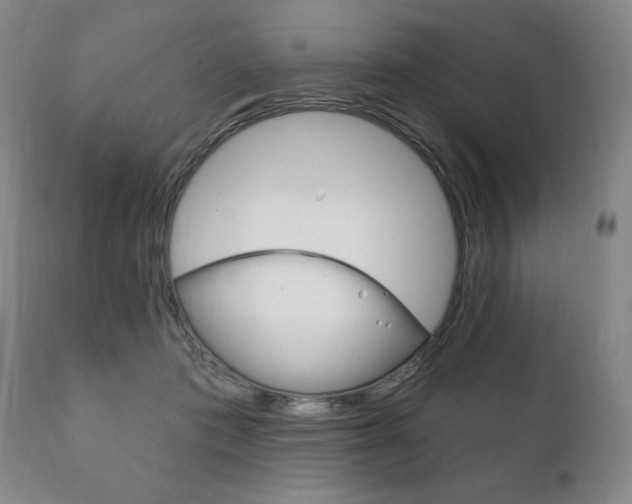 X0000111820413200907231029