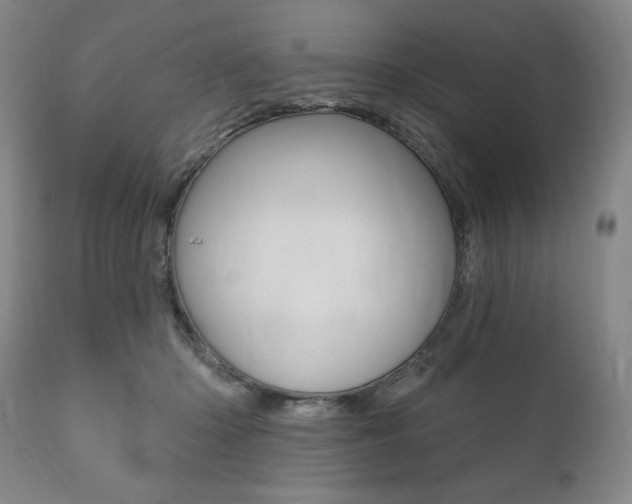 X0000111820414200907231029