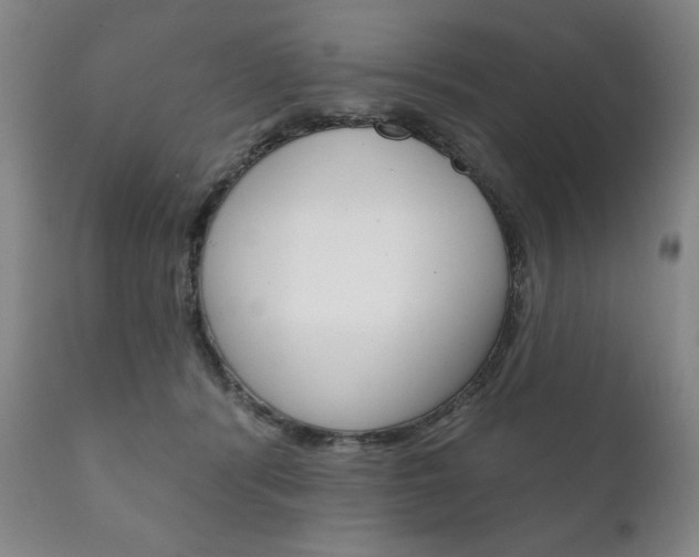X0000111820416200907231029