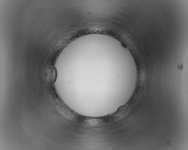 X0000111820417200907231029