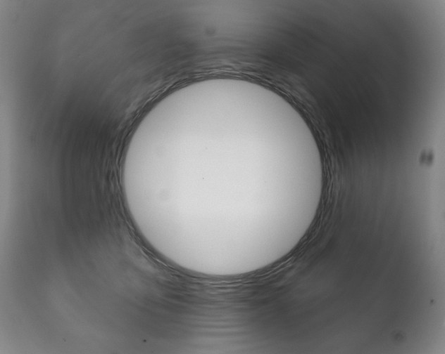 X0000111820419200907231029