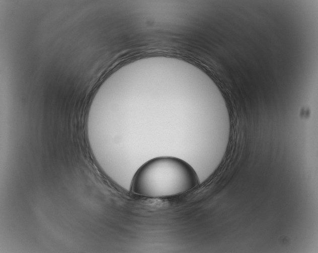 X0000111820421200907231029