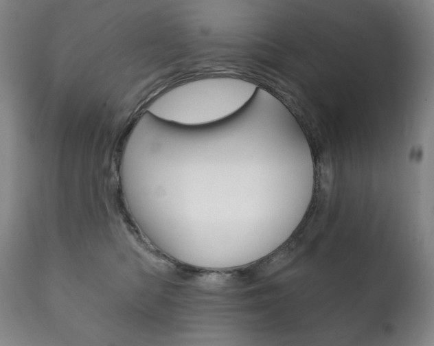 X0000111820422200907231029