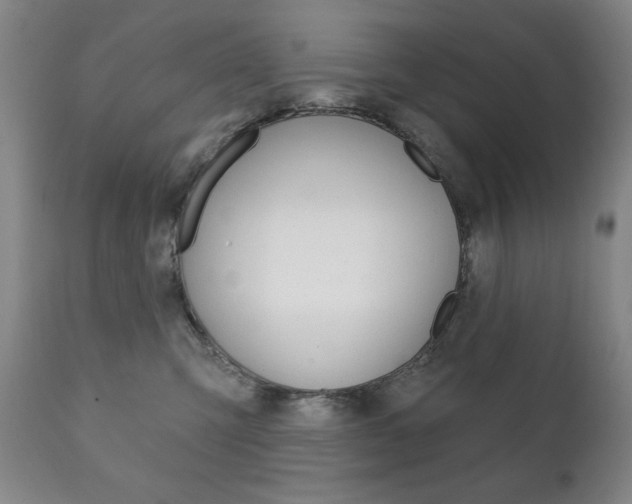 X0000111820423200907231029