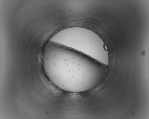 X0000111820424200907231029