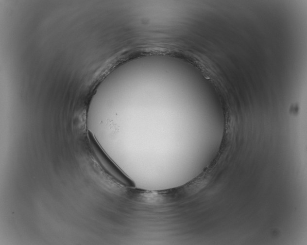 X0000111820425200907231029