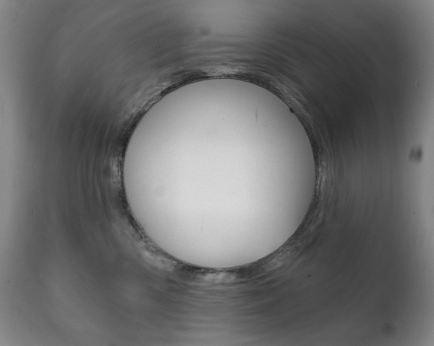 X0000111820426200907231029