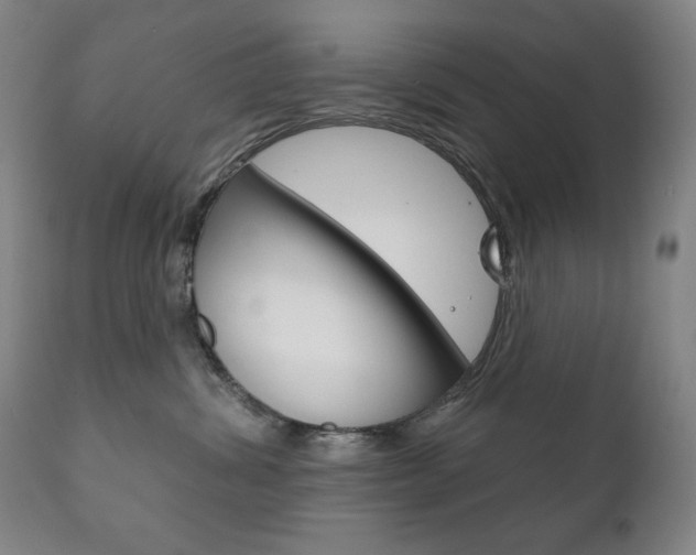 X0000111820428200907231029