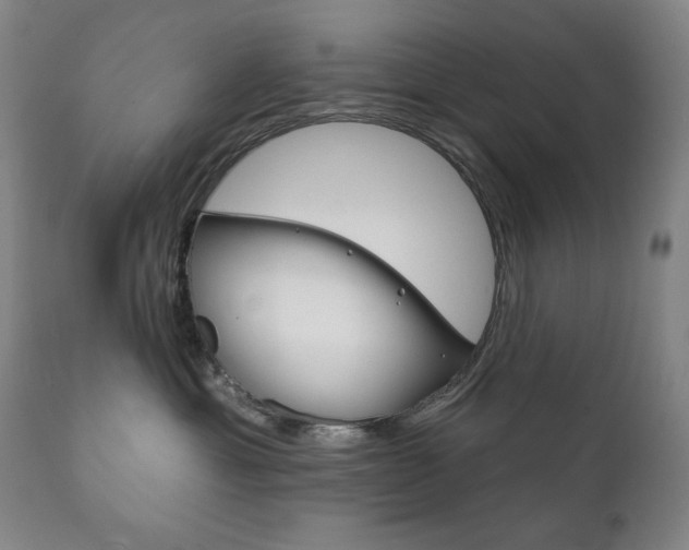 X0000111820429200907231029