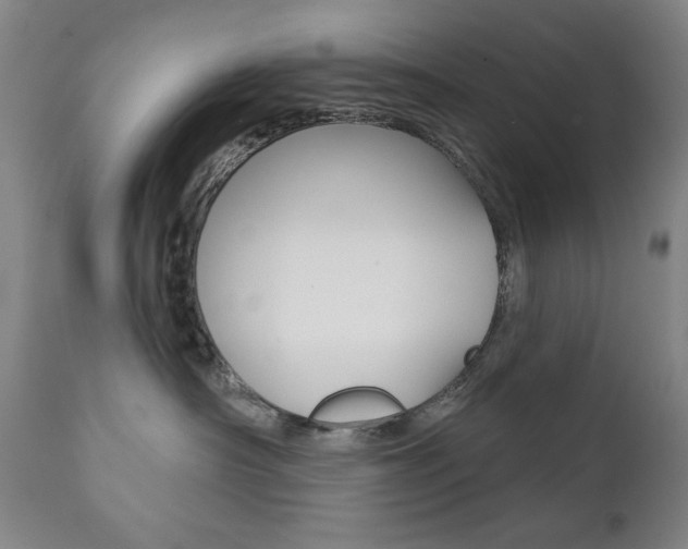 X0000111820430200907231029