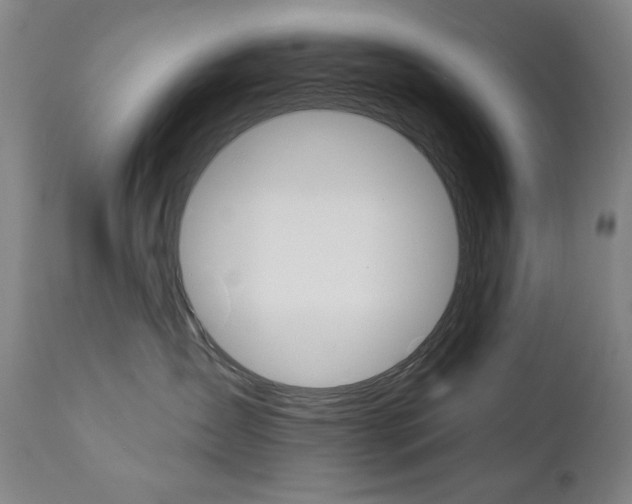X0000111820431200907231029