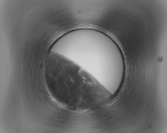 X0000111820433200907231028