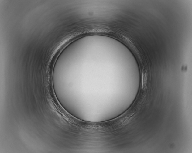 X0000111820435200907231028