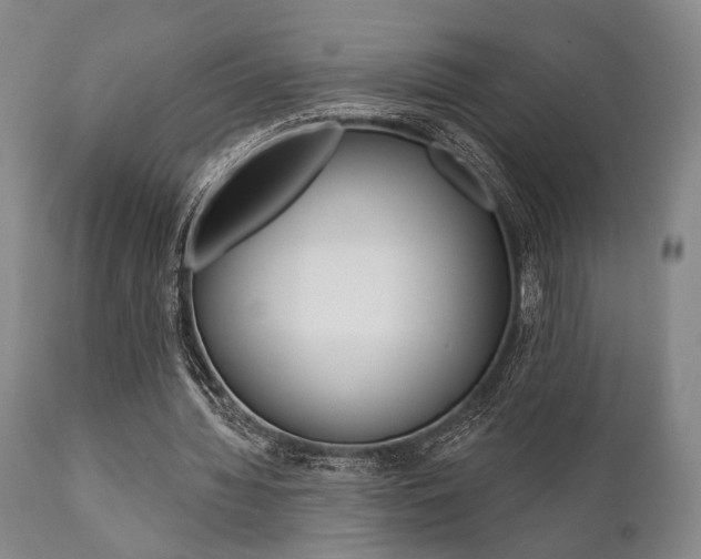 X0000111820436200907231028