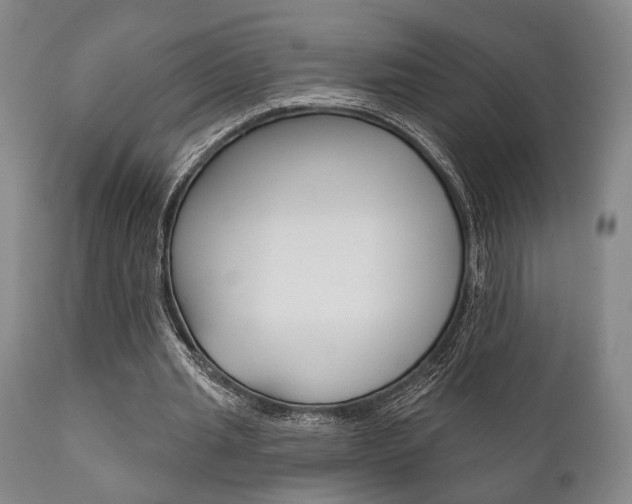 X0000111820437200907231028