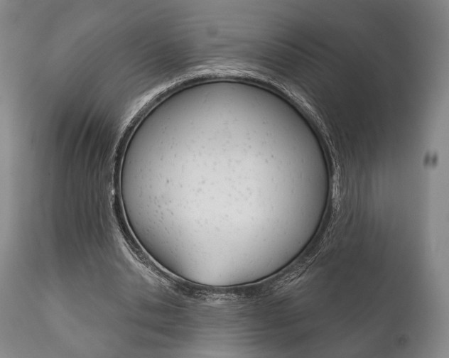 X0000111820438200907231028
