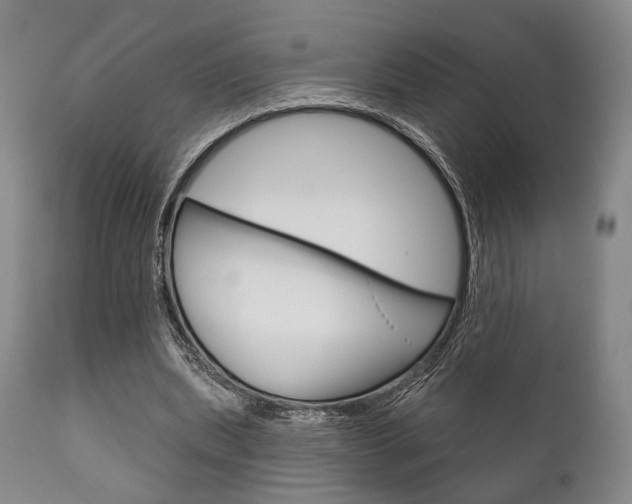 X0000111820439200907231028