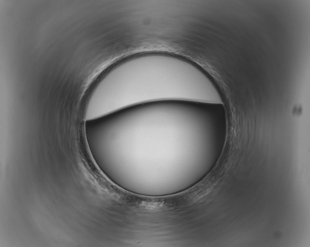 X0000111820440200907231028