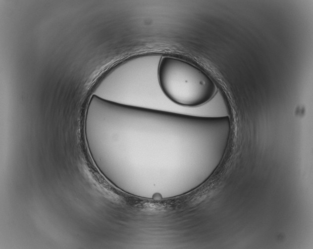 X0000111820442200907231028