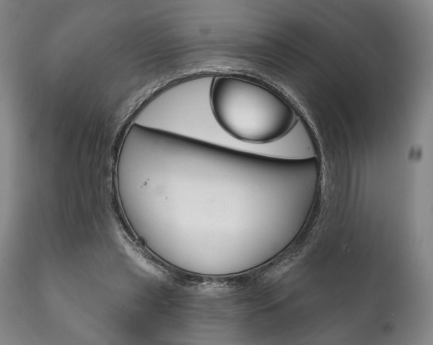 X0000111820445200907231028