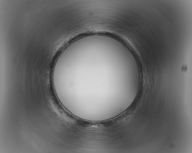 X0000111820447200907231028