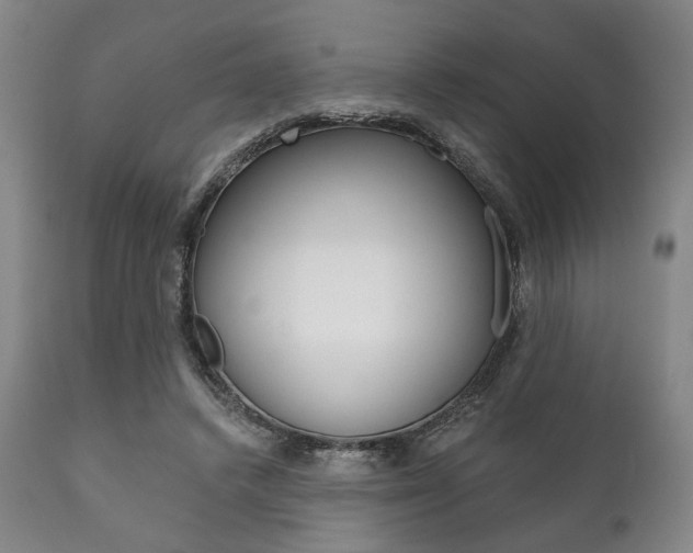 X0000111820448200907231029